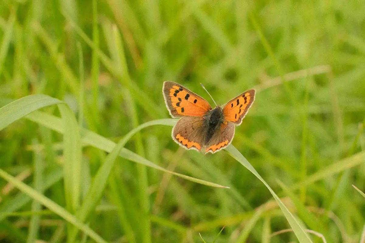 家事法庭離婚申請程序需等待多久